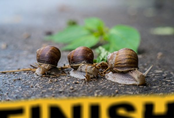 „…bei der Klimapolitik zur Beschleunigung getrieben.“