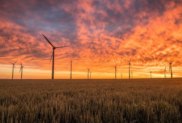 Klimapaket bedroht Ausbau der Windkraft in Schleswig-Holstein