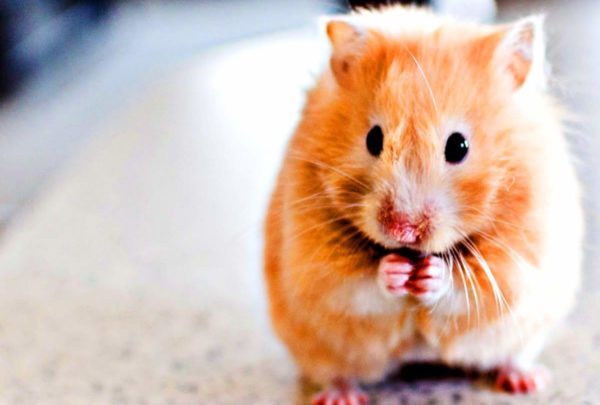 Picsart 03 15 12.33.00