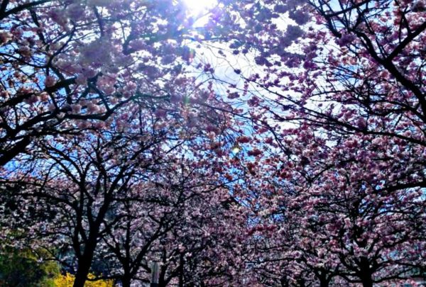 Picsart 03 26 07.56.07