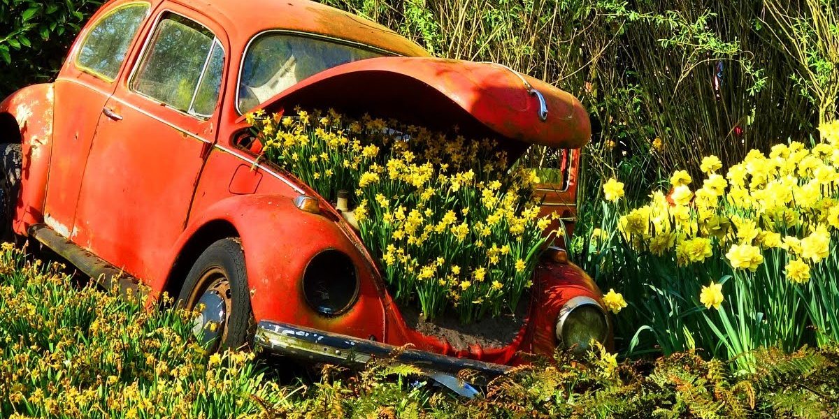 Picsart 05 03 11.14.47