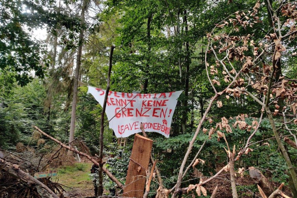 Photo 2020 09 29 09 43 35