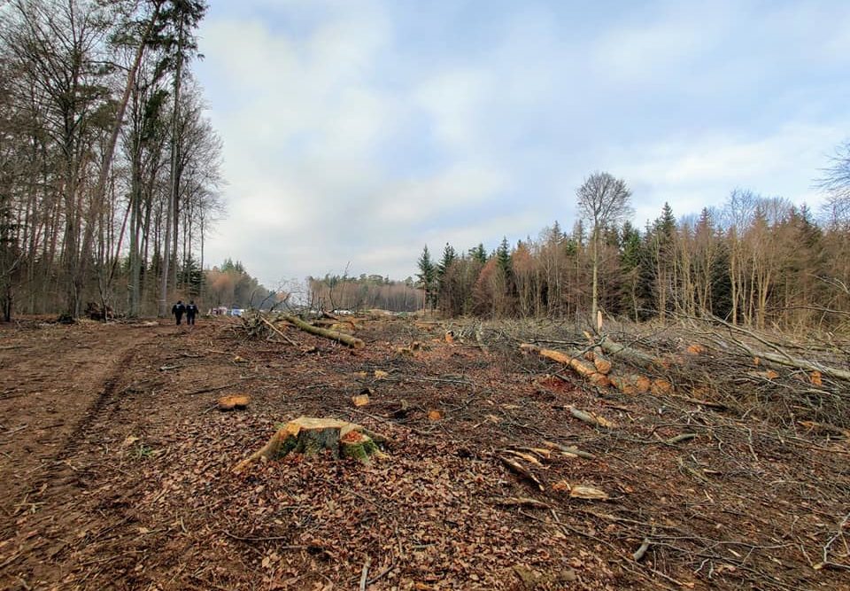 127869623 4165218640160881 1927093569511275659 N