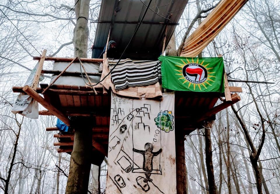 127884765 4165228170159928 4579316990287502219 N