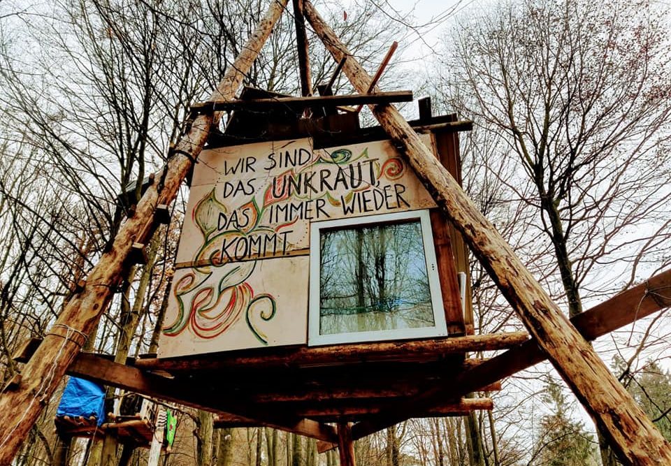 128218059 4165228690159876 8081997423322038275 N