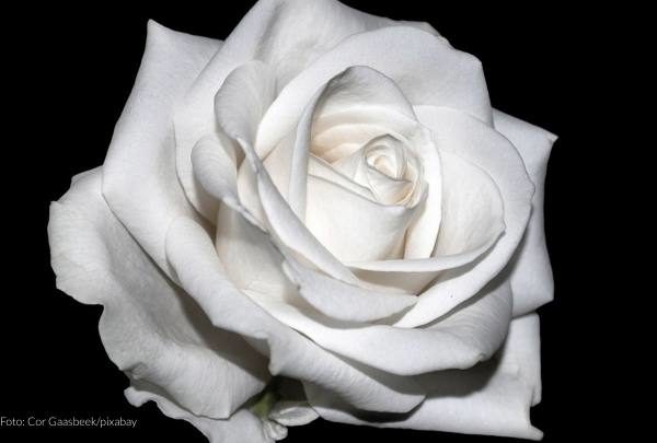 Kein Vergeben. Kein Vergessen.