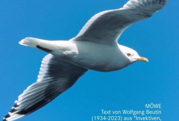 Text „Möwe“ von Wolfgang Beutin, „Invektiven, Inventionen“, 1971