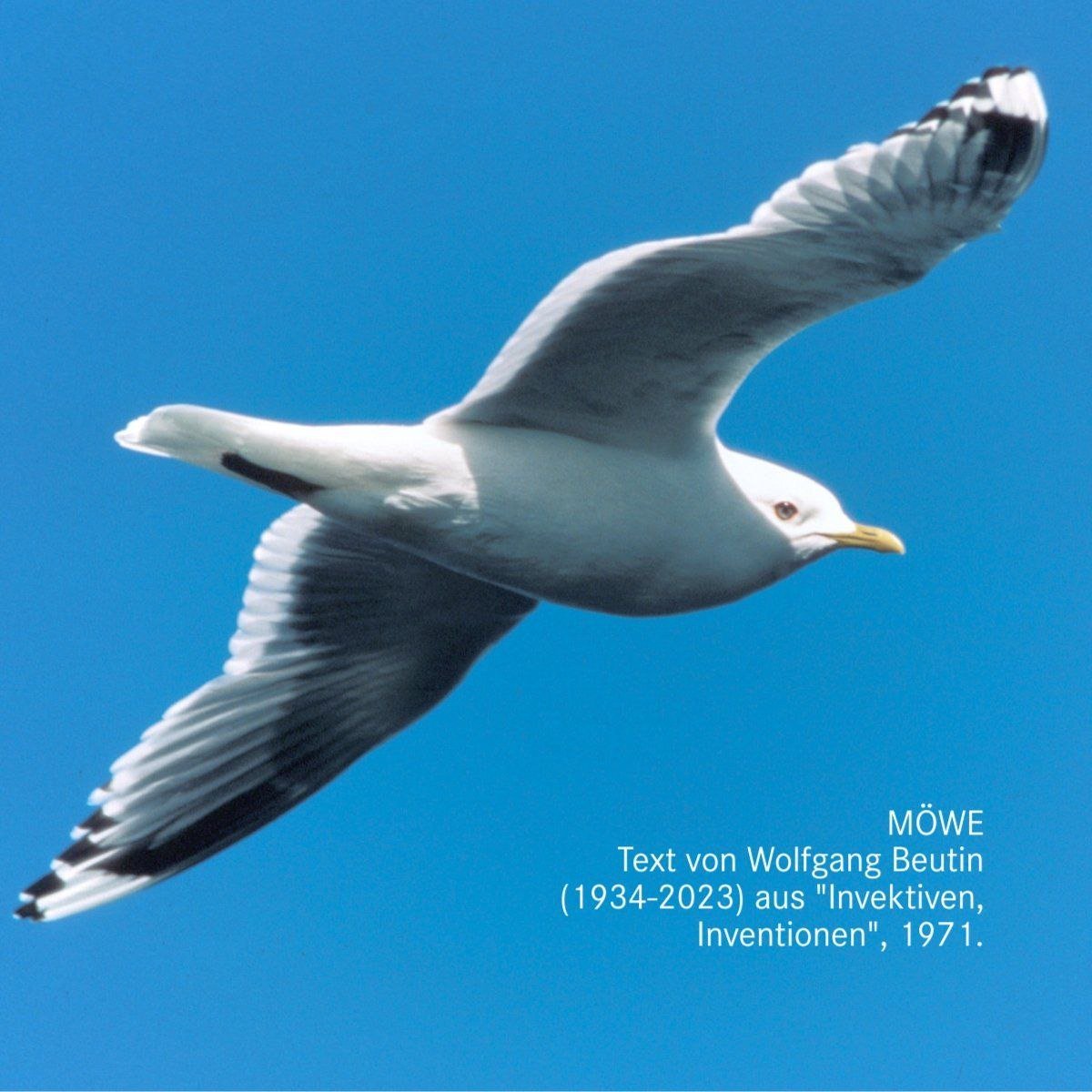 photo 2023 02 27 18 28 41